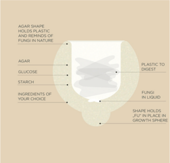 fungi mutarium-princip
